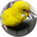 リサクラ profile picture